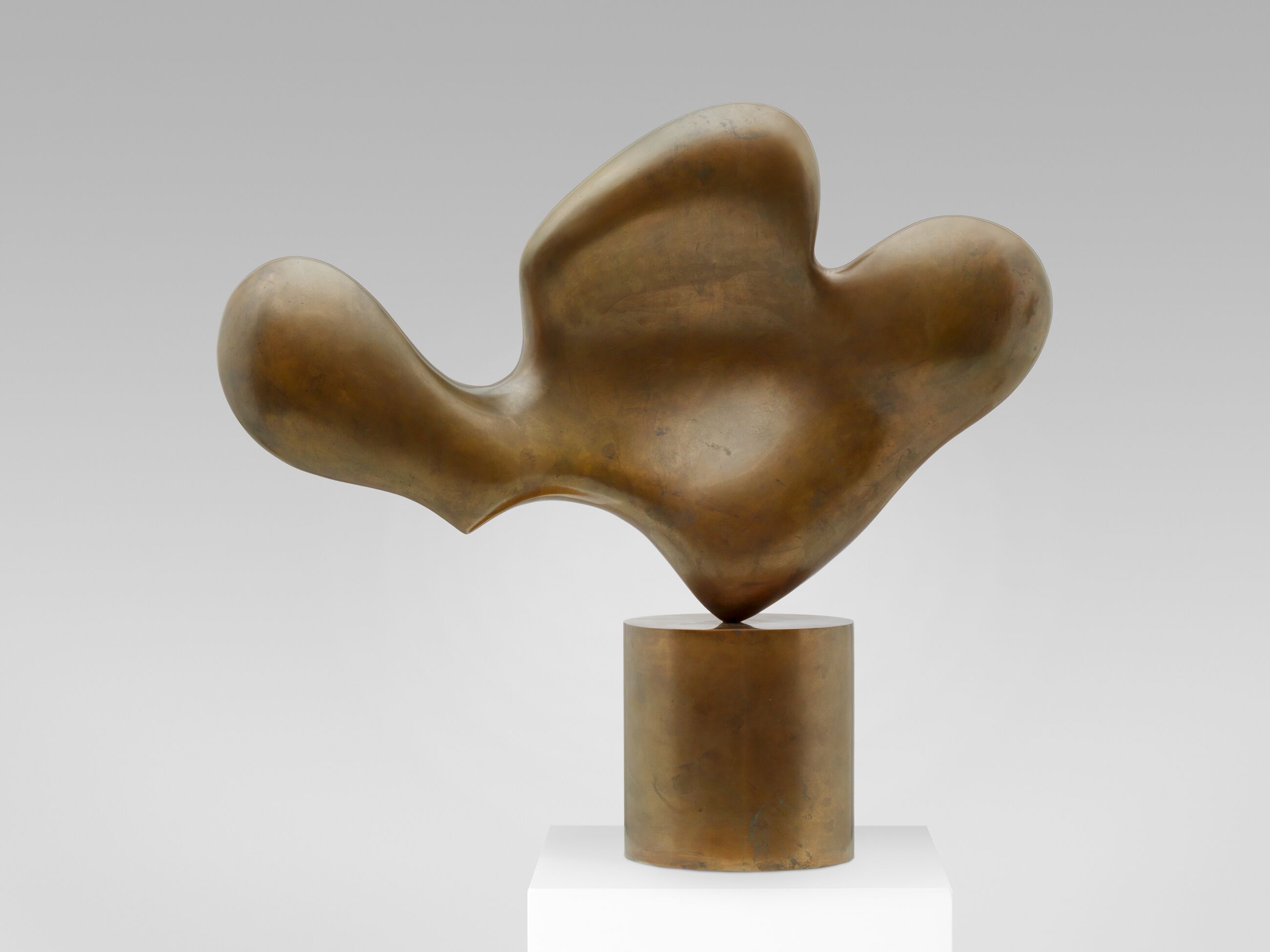 アート・デザイン・音楽 arp The Museum of Modern Art アート・デザイン・音楽 arp The Museum of Modern Art arp the